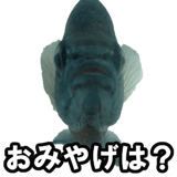 732164222