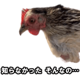 732164227