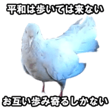 732164228
