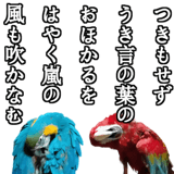 732164231