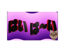 732170172