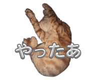 732184846