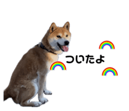 732187968