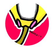 732203494