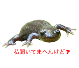 732203739