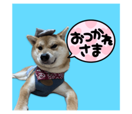 732231903
