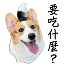 732234014