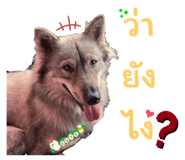 732239670