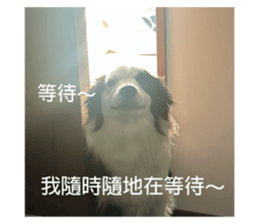 732241078