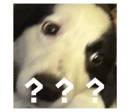 732241083