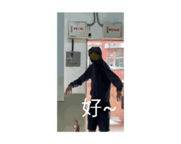 732241840