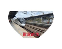 732242015