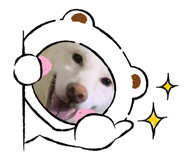 732246454