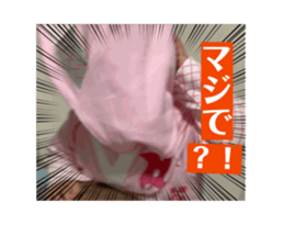 732247576