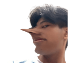 732254804