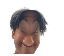 732254806