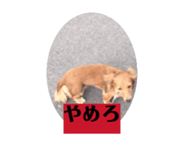 732258822