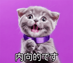 732262452