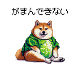 732268906