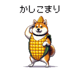 732268912