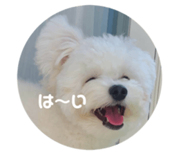 732282632