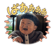 732283653