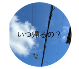 732286318