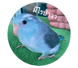 732287539
