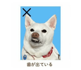 732288805