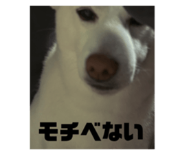 732288815