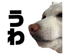 732288817