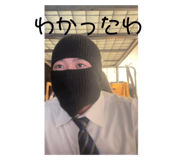 732305806