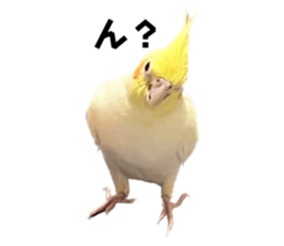 732309691