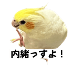 732309692