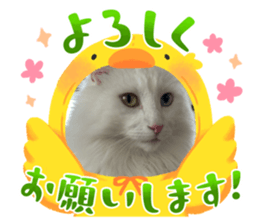 732323773