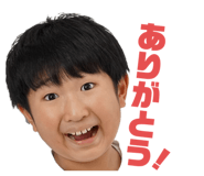 732329913