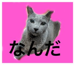 732335326