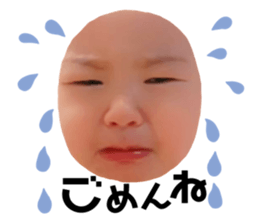 732336162