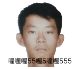 732350871