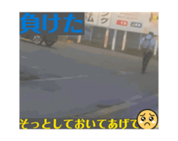 732478061