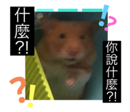 732480702