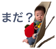 732481169