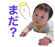 732481177