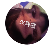 732481953