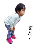 732485211