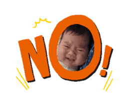732488526