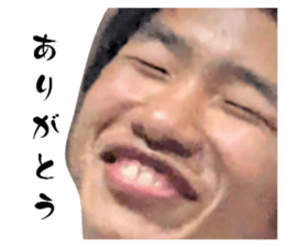 732492129