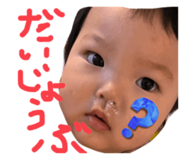 732493835