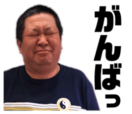 732494915