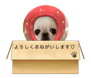 732515596